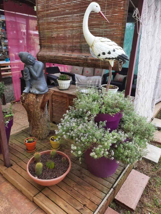 Chambres Et Table D'Hote Les Hortensias La Plaine des Cafres Exteriör bild